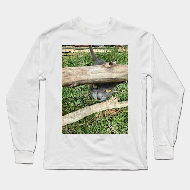 a grey African cat Long Sleeve T-Shirt by cute thingx